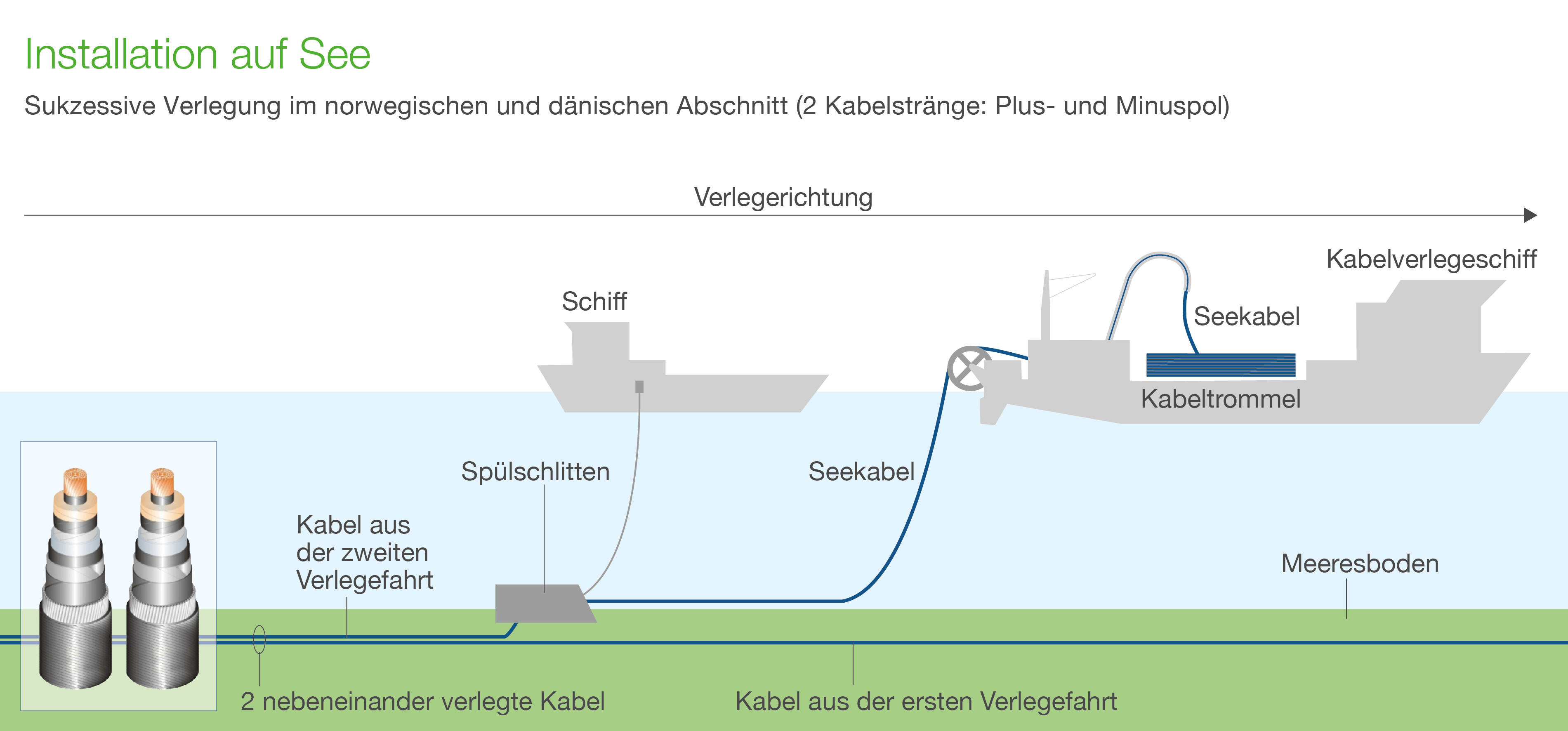 Quelle: TenneT